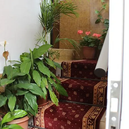 El Guanche La Frontera