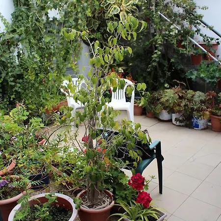 Guest house El Guanche *